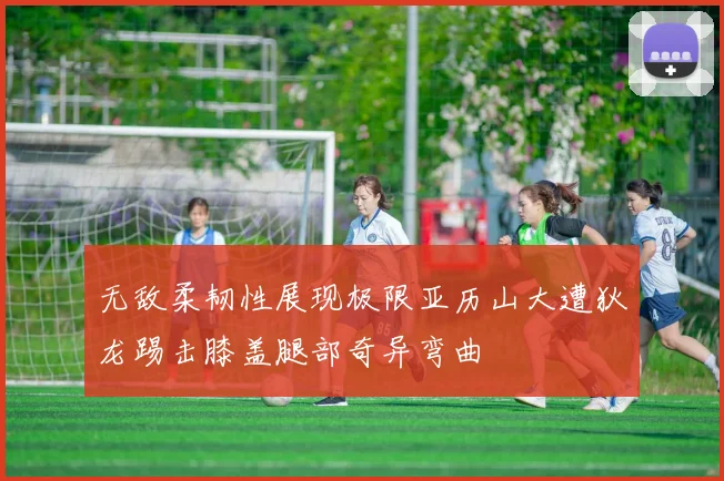 无敌柔韧性展现极限亚历山大遭狄龙踢击膝盖腿部奇异弯曲