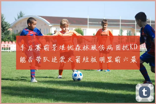 季后赛前景堪忧森林狼伤病困扰KD能否带队逆袭火箭短板明显前六最弱球队分析